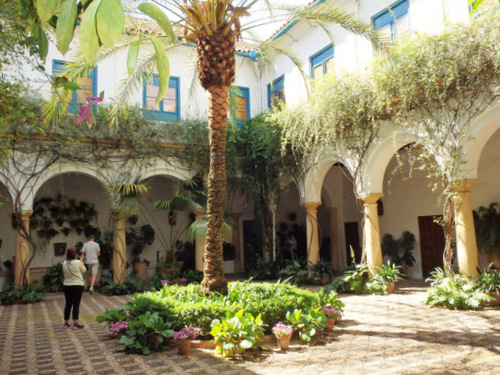 Palacio Viana. Palacio Viana.